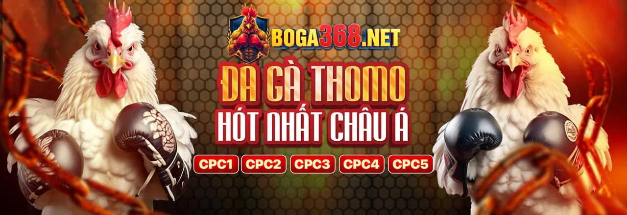 Đá Gà 39go99 kịch tính và hấp dẫn